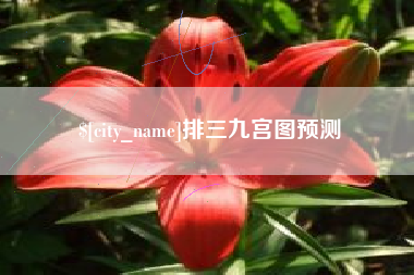 大兴安岭排三九宫图预测