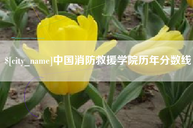 大兴安岭中国消防救援学院历年分数线