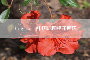 大兴安岭中国地图格子画法