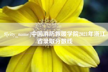 大兴安岭中国消防救援学院2021年浙江省录取分数线
