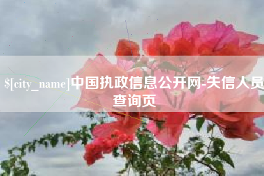 大兴安岭中国执政信息公开网-失信人员查询页