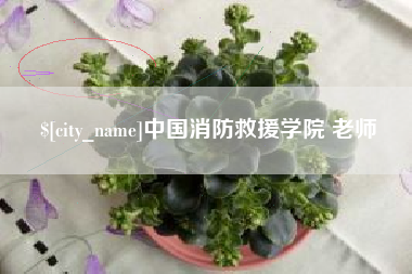 大兴安岭中国消防救援学院 老师