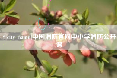 大兴安岭中国消防官网中小学消防公开课