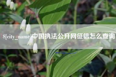 大兴安岭中国执法公开网征信怎么查询