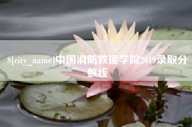 大兴安岭中国消防救援学院2019录取分数线
