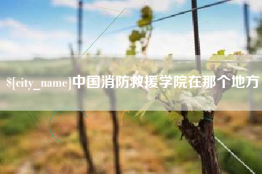 大兴安岭中国消防救援学院在那个地方