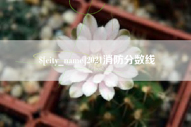大兴安岭2021消防分数线