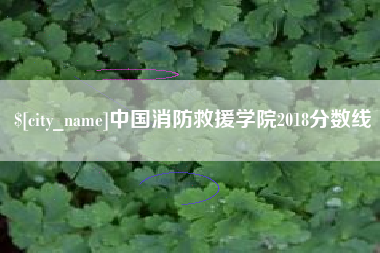 大兴安岭中国消防救援学院2018分数线