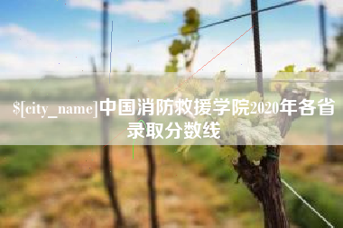 大兴安岭中国消防救援学院2020年各省录取分数线