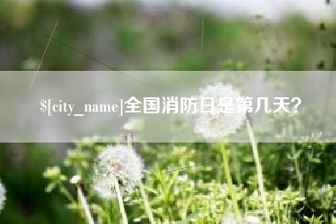 大兴安岭全国消防日是第几天？