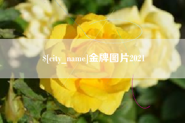 大兴安岭金牌图片2021