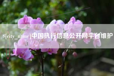 大兴安岭中国执行信息公开网平台维护