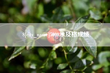 大兴安岭5000米及格成绩
