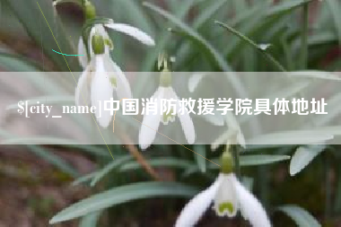大兴安岭中国消防救援学院具体地址