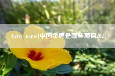 大兴安岭中国金牌是哪些项目2021