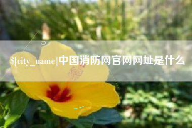 大兴安岭中国消防网官网网址是什么