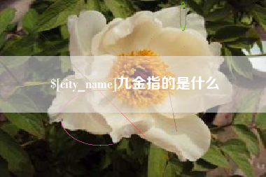 大兴安岭九金指的是什么