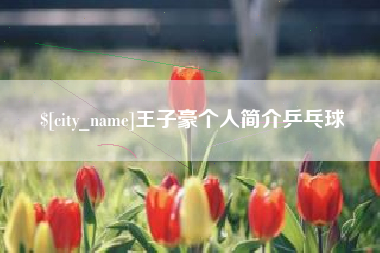 大兴安岭王子豪个人简介乒乓球