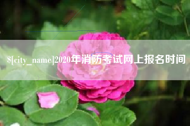 大兴安岭2020年消防考试网上报名时间