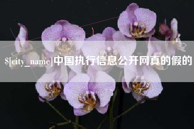 大兴安岭中国执行信息公开网真的假的