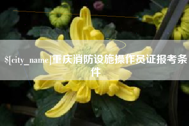 大兴安岭重庆消防设施操作员证报考条件