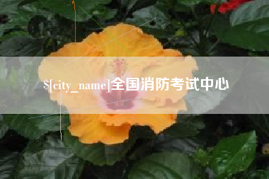 大兴安岭全国消防考试中心