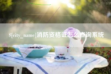 大兴安岭消防资格证怎么查询系统