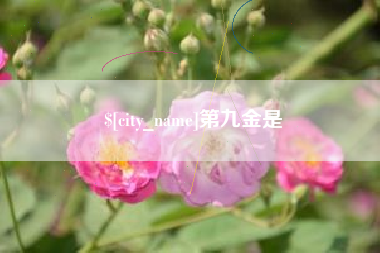 大兴安岭第九金是