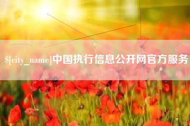 大兴安岭中国执行信息公开网官方服务