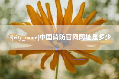 大兴安岭中国消防官网网址是多少