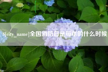 大兴安岭全国消防日是每年的什么时候