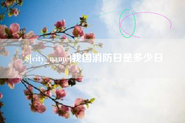 大兴安岭我国消防日是多少日