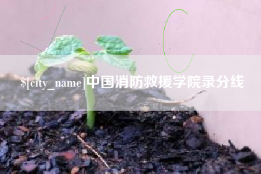 大兴安岭中国消防救援学院录分线
