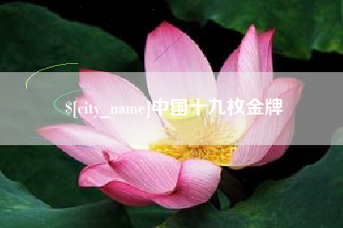 大兴安岭中国十九枚金牌