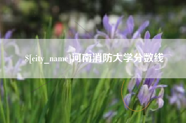 大兴安岭河南消防大学分数线