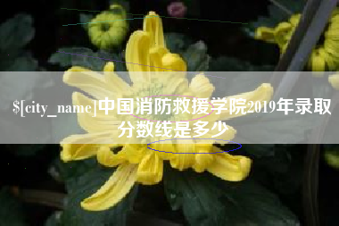 大兴安岭中国消防救援学院2019年录取分数线是多少