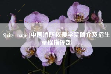 大兴安岭中国消防救援学院简介及招生章程指挥部