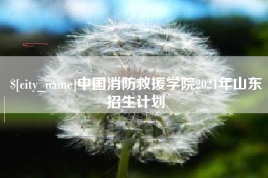 大兴安岭中国消防救援学院2021年山东招生计划