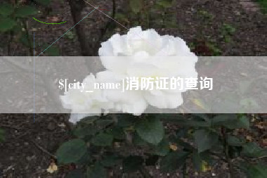 大兴安岭消防证的查询
