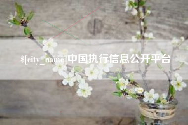 大兴安岭中国执行信息公开平台