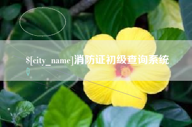 大兴安岭消防证初级查询系统