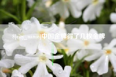 大兴安岭中国金牌得了几枚金牌
