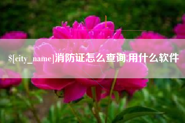 大兴安岭消防证怎么查询,用什么软件