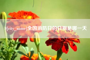 大兴安岭全国消防日的日期是哪一天