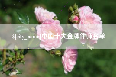 大兴安岭中国十大金牌律师名单