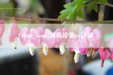 大兴安岭消防设备ccc认证