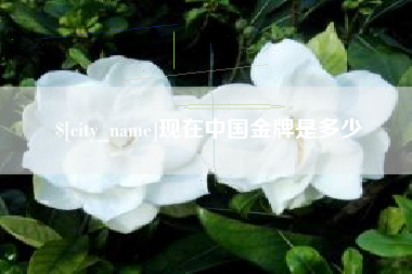 大兴安岭现在中国金牌是多少