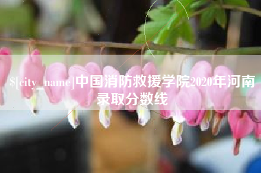 大兴安岭中国消防救援学院2020年河南录取分数线
