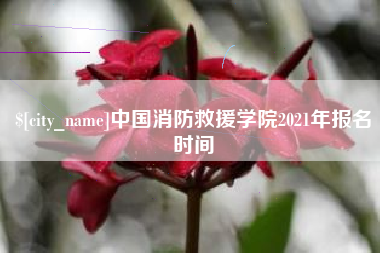 大兴安岭中国消防救援学院2021年报名时间