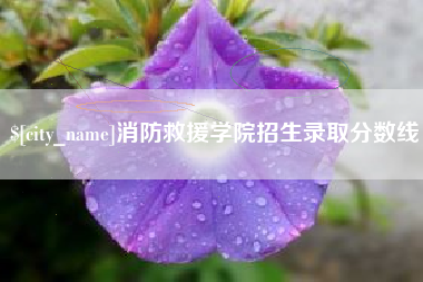 大兴安岭消防救援学院招生录取分数线